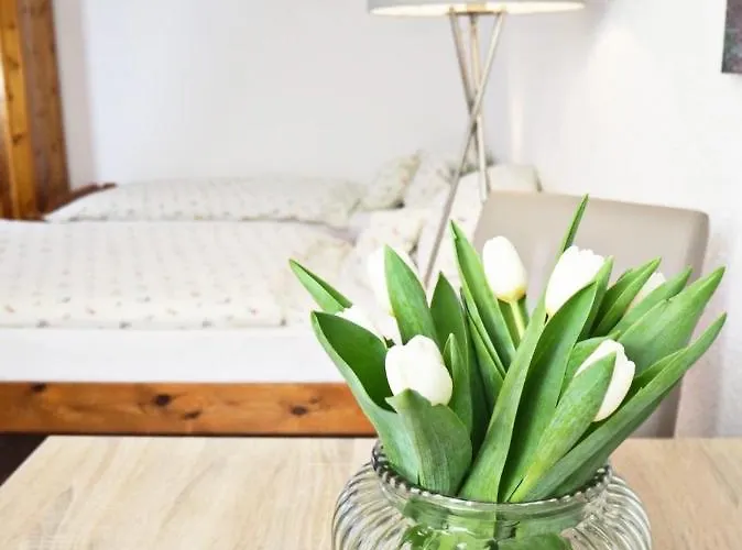 Gasthof Zum Alten Euler 3*